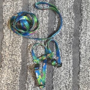 Colorful Cat Harness and Leash Set